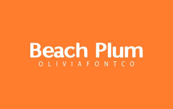 Discover the Elegance of Beach Plum Font