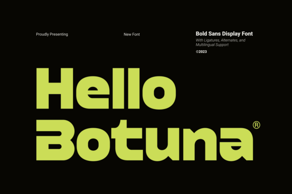 Hello Botuna: A Bold Sans Serif Font for Modern Publishing